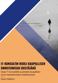 Produktbild: Opas: It-konsultin rooli kaupallisen onnistumisen edist&auml;j&auml;n&auml;