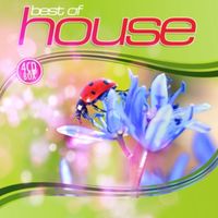 Bild vom Artikel Various: Best Of House vom Autor Various