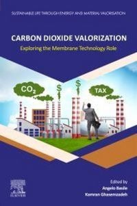 Produktbild: Carbon Dioxide Valorization