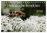 Produktbild: Heimische Insekten 2026 (Tischkalender 2026 DIN A5 quer), CALVENDO Monatskalender