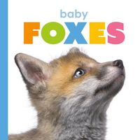 Produktbild: Baby Foxes