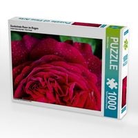 Produktbild: CALVENDO Puzzle Dunkelrote Rose im Regen | 1000 Teile Lege-Gr&ouml;&szlig;e 64x48cm Foto-Puzzle f&uuml;r gl&uuml;ckliche Stunden