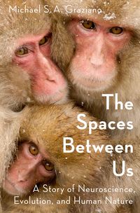 Produktbild: The Spaces Between Us
