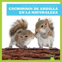 Produktbild: Cachorros de Ardilla En La Naturaleza (Squirrel Kits in the Wild)