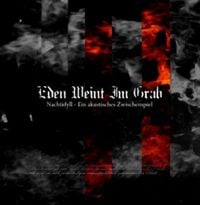 Produktbild: Nachtidyll-ein akustisches Z