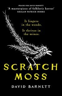 Produktbild: Scratch Moss