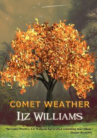 Produktbild: Comet Weather