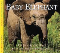 Produktbild: Baby Elephant
