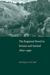 Produktbild: The Regional Novel in Britain and Ireland