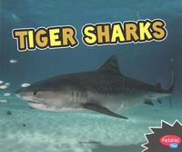 Produktbild: Tiger Sharks