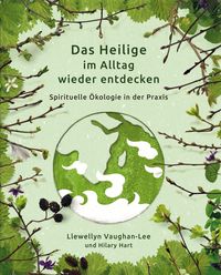 Produktbild: Das Heilige im Alltag wieder entdecken