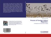 Produktbild: Process of Foreign Labour Migration: