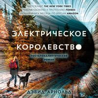 Produktbild: The Electric Kingdom