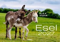 Produktbild: Esel Kalender 2027