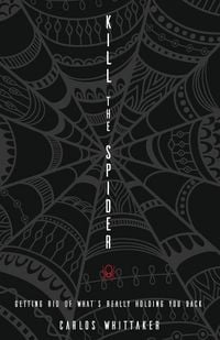 Produktbild: Kill the Spider