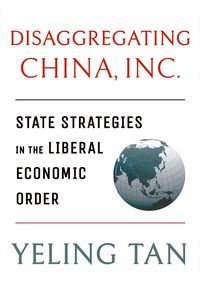 Produktbild: Tan, Y: Disaggregating China, Inc.