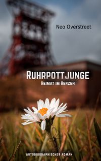 Produktbild: Ruhrpottjunge