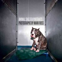 Produktbild: Animal Shelter Portraits