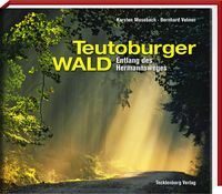 Bild vom Artikel Teutoburger Wald vom Autor Karsten Mosebach