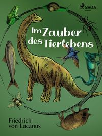 Produktbild: Im Zauber des Tierlebens