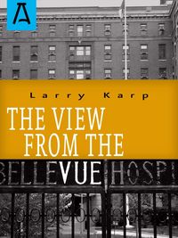Produktbild: The View from the Vue