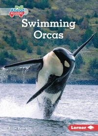 Produktbild: Swimming Orcas