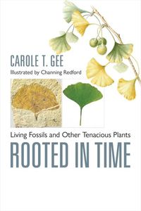 Produktbild: Rooted in Time