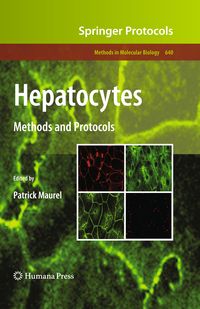 Produktbild: Hepatocytes