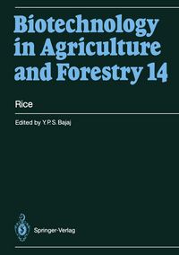 Produktbild: Rice