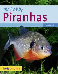 Bild vom Artikel Piranhas vom Autor Hans Gonella