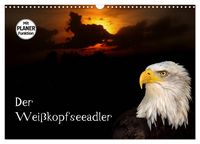 Produktbild: Der Wei&szlig;kopfseeadler (Wandkalender 2027 DIN A3 quer), CALVENDO Monatskalender
