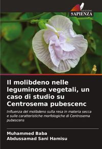 Produktbild: Il molibdeno nelle leguminose vegetali, un caso di studio su Centrosema pubescenc