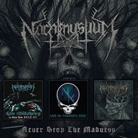Produktbild: Never Stop the Madness (3CD)