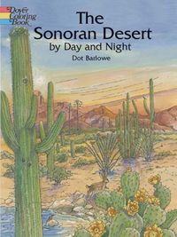 Produktbild: Color Bk-Sonoran Desert By Day