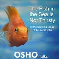 Produktbild: The Fish in the Sea Is Not Thirsty