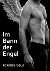 Produktbild: Im Bann der Engel
