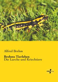 Bild vom Artikel Brehms Tierleben vom Autor Alfred Brehm