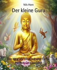 Produktbild: Der kleine Guru