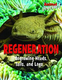 Produktbild: Regeneration Regrowing Heads T