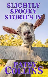 Produktbild: Slightly Spooky Stories IV