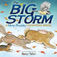 Produktbild: The Big Storm