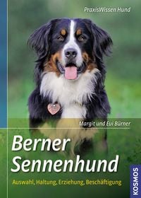 Bild vom Artikel Berner Sennenhund vom Autor Margit Bürner