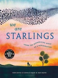 Produktbild: We Are Starlings