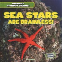 Produktbild: Sea Stars Are Brainless