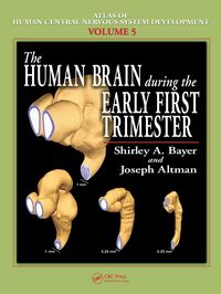 Produktbild: The Human Brain During the Early First Trimester