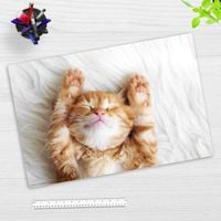 Produktbild: Cover-your-desk Schreibtischunterlage f&uuml;r Kinder und Erwachsene S&uuml;&szlig;es Katzenbaby beim Schlafen, aus hochwertigem Vinyl , 60 x 40 cm