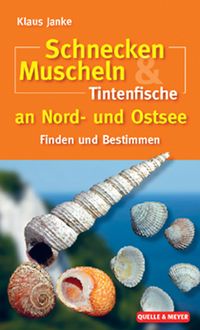 Produktbild: Schnecken, Muscheln & Tintenfische an Nord- und Ostsee