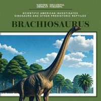 Produktbild: Brachiosaurus