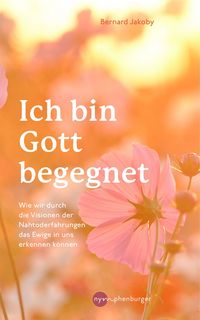 Produktbild: Ich bin Gott begegnet
