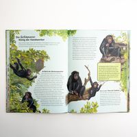 Die Werkzeugkiste der Tiere